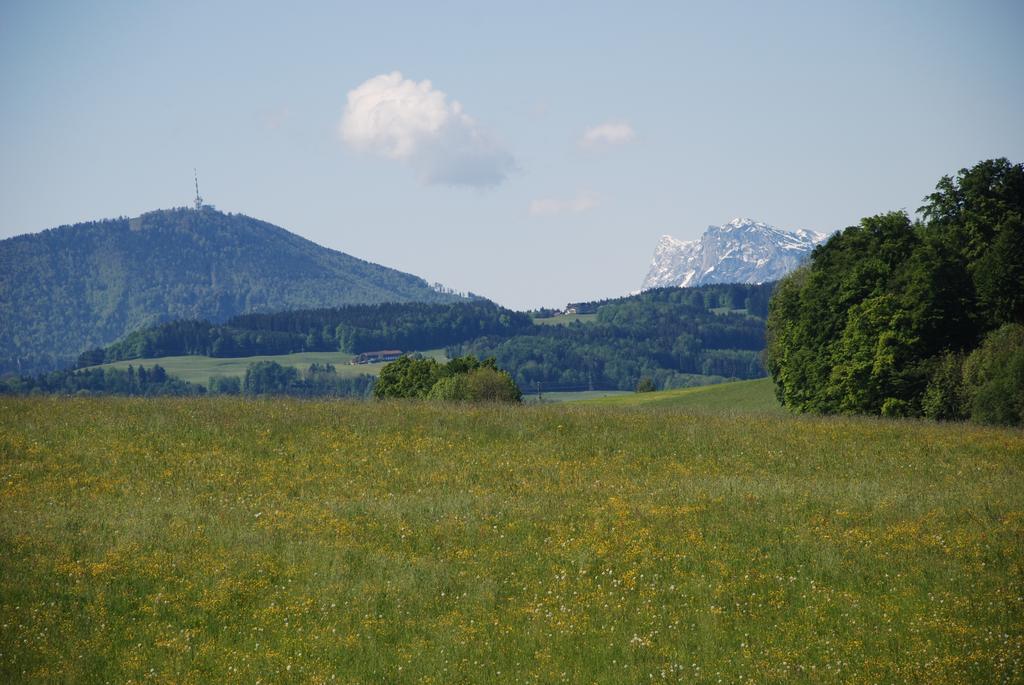 Landhaus Brieger Henndorf am Wallersee Εξωτερικό φωτογραφία
