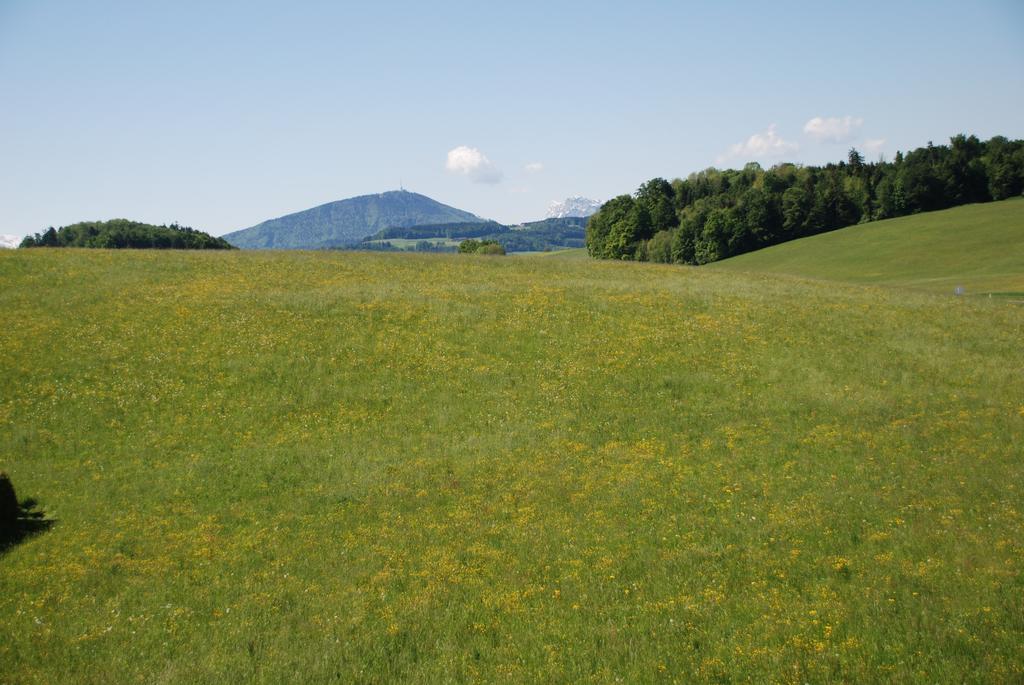 Landhaus Brieger Henndorf am Wallersee Εξωτερικό φωτογραφία